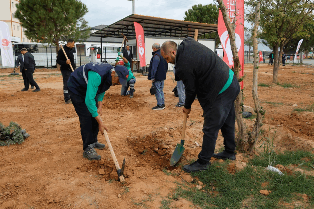 EFELER’İN YEŞİL EKİPLERİ BUDAMA ÇALIŞMALARINA DEVAM EDİYOR