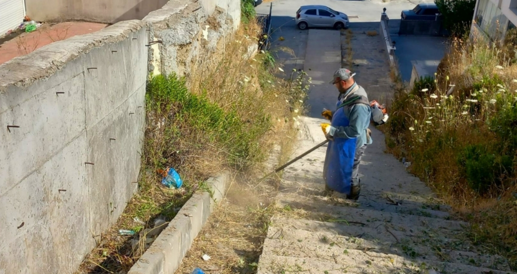 Söke Belediyesi mevsimsel ot biçme ve temizlik çalışmalarını aralıksız sürdürüyor